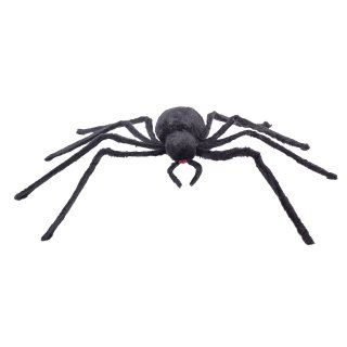 Große schwarze Spinne