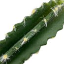 Kaktus zum Stecken länglich ca. 28 cm