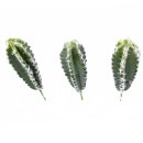 Kaktus zum Stecken gro&szlig;, l&auml;nglich 3-er Set