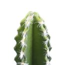 Kaktus zum Stecken groß, länglich 3-er Set