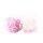 Rosen-Lichterkette in wei&szlig; oder rosa