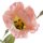Lisianthus-Blumen im 2er Set rosa