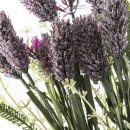 Deko-Feldblume Lavendeloptik lila im 2er Set