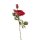 Rose mit 2 Blüten rot