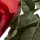 Rose mit 2 Blüten rot