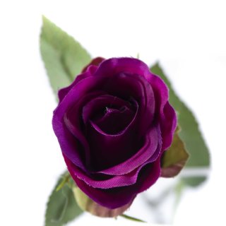 violett ca. 1,95 € cm, Kunstblume Rose 60