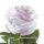 Kunst-Blume Rose mit großen Blütenkopf hellrosa