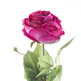Kunstblume € ca. Rose 65 cm, 3,50 groß pink