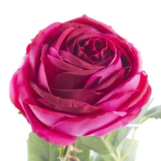 Kunstblume Rose groß pink ca. 65 cm, 3,50 €