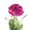 Kunst-Blume Rose mit großen Blütenkopf pink