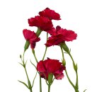 Kunst-Blume Nelke rot ca. 66 cm