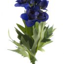 Kunst-Blume Delphinium/Rittersporn dunkel-lila
