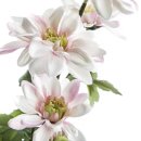 Kunst-Blume Chrysantheme zartrosa