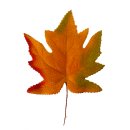 Dekorative Herbstblätter zum Streuen im 3er Set