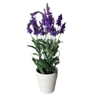 Deko Lavendel Blumentopf