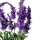 Deko Lavendel Blumentopf