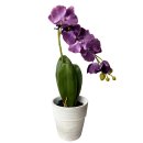 Deko Orchidee im Topf violett