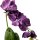 Deko Orchidee im Topf violett