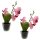 Mini Deko Orchidee im 2er Set rosa