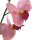 Mini Deko Orchidee im 2er Set rosa