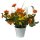 Deko Vintage Blumentopf mit Henkel Orange