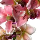 Deko Orchidee im Topf rosa gelb