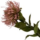 Kunstblume Nadelkissen-Chrysantheme altrosa ca.73 cm