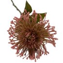 Kunstblume Nadelkissen-Chrysantheme altrosa ca.73 cm