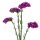 Kunstblume Statice violett ca.63 cm