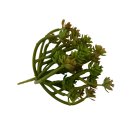 Deko-Sukkulente grün/rot ca. 14,5 cm