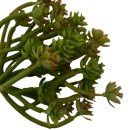Deko-Sukkulente gr&uuml;n/rot ca. 14,5 cm