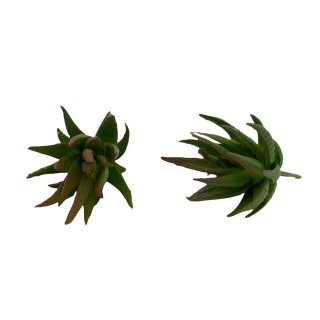 Deko-Sukkulente gr&uuml;n ca. 10,5 cm