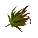 Deko-Sukkulente grün ca. 10,5 cm