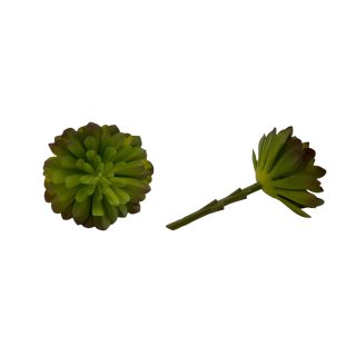 Deko-Sukkulente gr&uuml;n ca. 14 cm