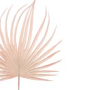 Deko Palmenblätter im 2er Set rosa ca. 48 cm