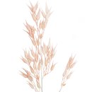 Dekozweig Honiggras rosa ca. 88 cm