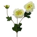 China-Rose/Teerose weiss ca. 66 cm