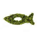Fisch Kommunion/Konfirmation aus Moos ca. 30 cm