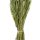 Trockenblumen-Bund Phalaris L&auml;nge ca. 60 cm