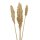 Trockenblumen-Bund Hirse L&auml;nge ca. 70 cm