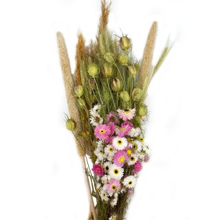 Trockenblumen-Bund Nigella,Feldblumen und Pampas L&auml;nge ca. 60 cm