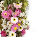 Trockenblumen-Bund Nigella,Feldblumen und Pampas Länge ca. 60 cm