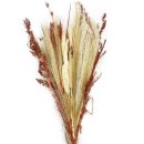 Trockenblumen-Bund Chinaschilf,  Rohrkolben und Pampas natur ca.65 cm