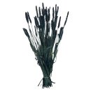Trockenblumen-Bund Weizen schwarz ca. 65 cm