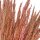 Trockenblumen-Bund Pampasgras getrocknet rosa ca. 75cm