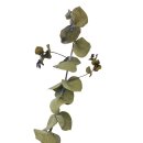 Trockenblumen-Bund Eukalyptus ca. 50 cm