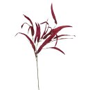 Deko-Zweig Stromanthe weinrot ca. 88 cm