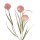 Deko-Zweig Amerikanische Platane rosa ca. 61 cm