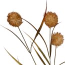 Deko-Zweig Amerikanische Platane braun ca. 61 cm