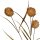 Deko-Zweig Amerikanische Platane braun ca. 61 cm